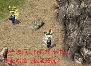 淨ʦװѡעЩ뼼ܴ䣿