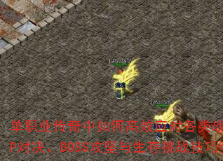 ְҵθЧӦԸսPVPԾBOSSսȫ