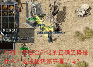 봽ȷʲôЩؾ