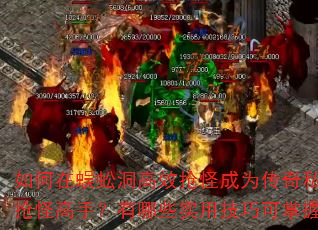 򼶴ЧֳΪ˽ָ֣Щʵüɿգ