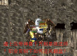 ʿûǧʦְҵ緭̣