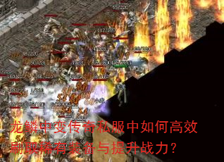 б䴫˽θЧˢȡϡװս