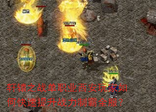 ԯ֮սְҵοսưȫ