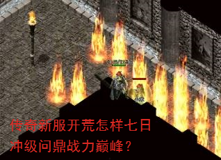 ·ճ弶ʶս۷壿
