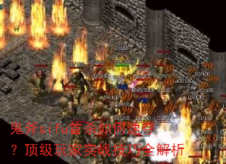 sifuɱٶ᣿ʵսȫ