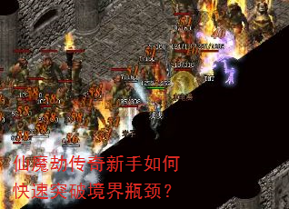 ħٴοͻƾƿ