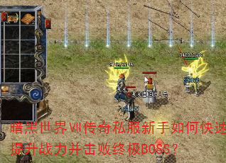 ˽οսռBOSS