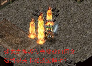 ʧ֮紫սͻռؿؼȫ