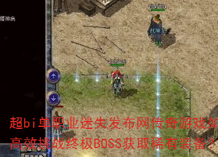 biְҵʧϷθЧսռBOSSȡϡװ