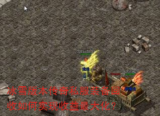 ѩ汾˽װʵ󻯣