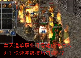 ְҵٶô죿ٳ弶Щ