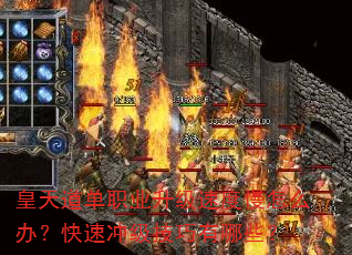ְҵٶô죿ٳ弶Щ