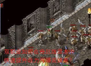 ˫ְҵ챾пս뱬װЧʣ