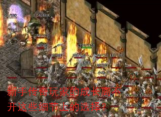 ִҵĳɳ벻Щϸϵѡ
