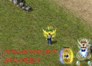 ˽ʦ̫PKӦԣ