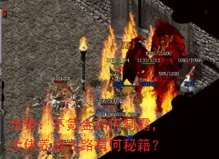 棺봽ưԣ֮·кؼ