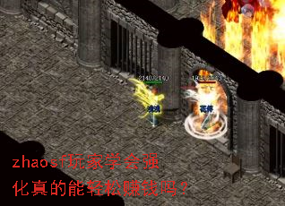 zhaosfѧǿ׬Ǯ