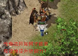 淨ʦβܸЧ