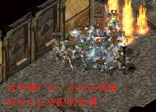 潩ʬСΰѱС֧Ŀ־壿