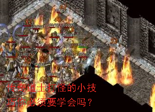 ʿֵСҪѧ