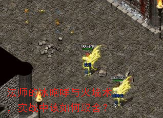ʦıǽʵսиȡ᣿