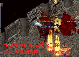 Сž㲻֪ĴϷƴ