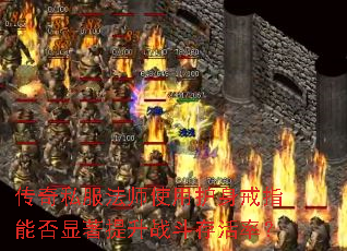 ˽ʦʹûָܷսʣ