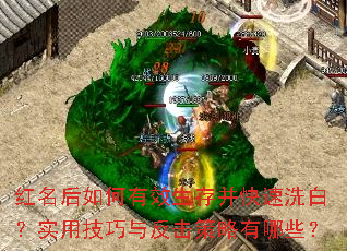 Ч沢ϴףʵü뷴Щ