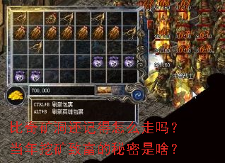 󶴻ǵô𣿵ڿ¸ɶ