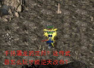 ֳķʦô