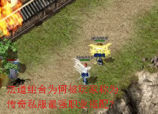 ΪαҳΪ˽ǿְҵ䣿