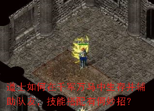 道士如何在千军万马中生存并辅助队友,技能搭配有何妙招? 道士如何在千军万马中生存并辅助队友,技能搭配有何妙招?