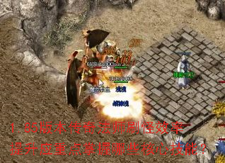 1.85版本传奇法师刷怪效率提升应重点掌握哪些核心技能? 1.85版本传奇法师刷怪效率提升应重点掌握哪些核心技能?