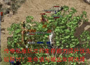 传奇私服玩法师生存能力提升优先级探讨?生命值与输出如何抉择 传奇私服玩法师生存能力提升优先级探讨?生命值与输出如何抉择