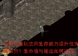 传奇私服玩法师生存能力提升优先级探讨?生命值与输出如何抉择 传奇私服玩法师生存能力提升优先级探讨?生命值与输出如何抉择