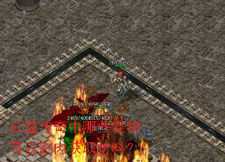 公益传奇中哪些怪物可以割肉获取材料? 公益传奇中哪些怪物可以割肉获取材料?