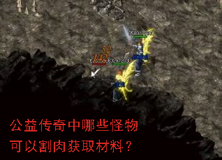 公益传奇中哪些怪物可以割肉获取材料? 公益传奇中哪些怪物可以割肉获取材料?