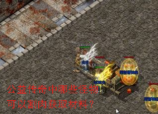 公益传奇中哪些怪物可以割肉获取材料? 公益传奇中哪些怪物可以割肉获取材料?