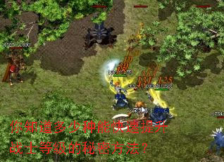 你知道多少种能快速提升战士等级的秘密方法? 你知道多少种能快速提升战士等级的秘密方法?