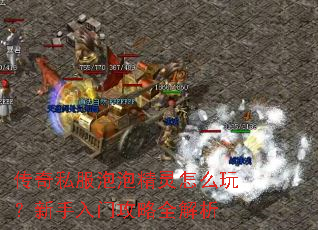 传奇私服泡泡精灵怎么玩?新手入门攻略全解析 传奇私服泡泡精灵怎么玩?新手入门攻略全解析