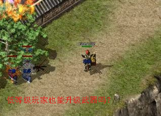 低等级玩家也能升级武器吗? 低等级玩家也能升级武器吗?