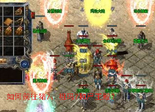 如何前往猪7、祖玛7和尸王殿? 如何前往猪7、祖玛7和尸王殿?