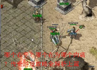 哪个在乎?哪个在为哪个肉痛?传奇游戏攻略全解析上篇 哪个在乎?哪个在为哪个肉痛?传奇游戏攻略全解析上篇