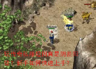 �洫��˽��������������������������ο������֣�