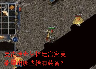 复古传奇丛林迷宫究竟能爆出哪些稀有装备? 复古传奇丛林迷宫究竟能爆出哪些稀有装备?