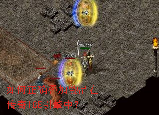 �����ȷ������Ʒ�ڴ���IGE�����У�