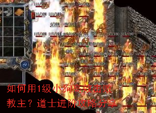 �����1��С����Ч���ܽ�������ʿ���׹��Է���