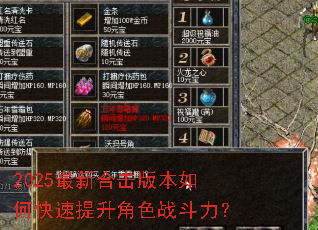 2025���ºϻ��汾��ο���������ɫս������