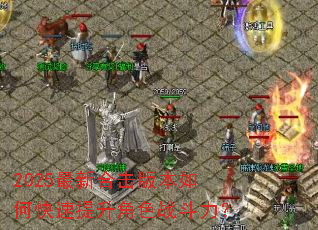 2025���ºϻ��汾��ο���������ɫս������