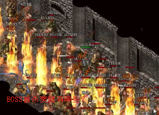 BOSS��ɱ��������Щ��